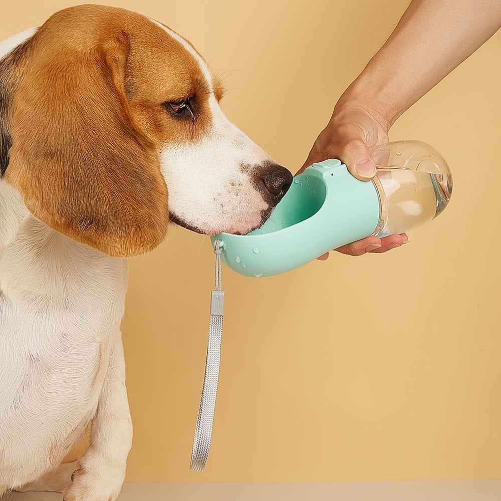 Outdoor Leakproof Water Bottle for Dogs: Stay Hydrated on the Go