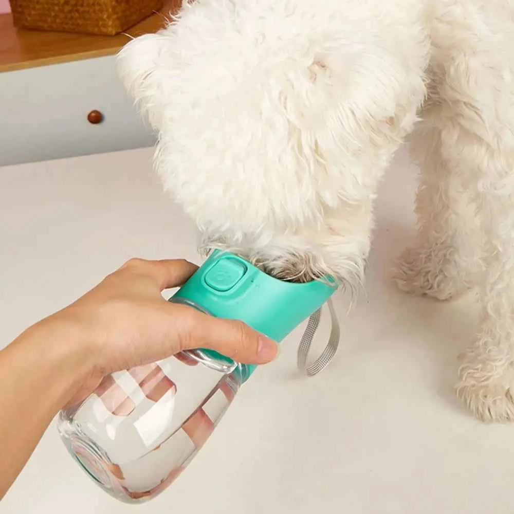 Outdoor Leakproof Water Bottle for Dogs: Stay Hydrated on the Go