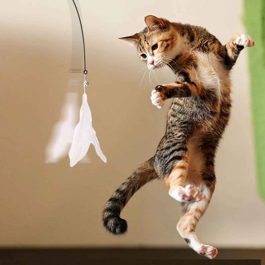 Cat Teaser Toy: Long Suction Cup Pole Interactive Bell and Feather Wand