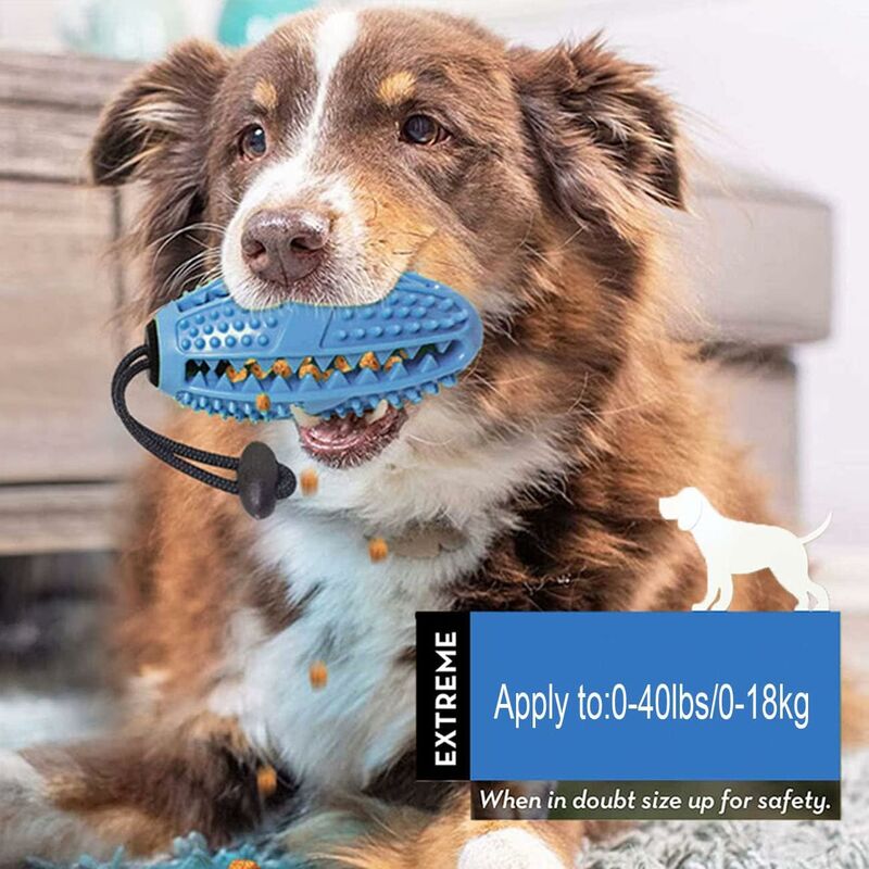 Durable Dog Chew Toy for Healthy Teeth and Endless Playtime