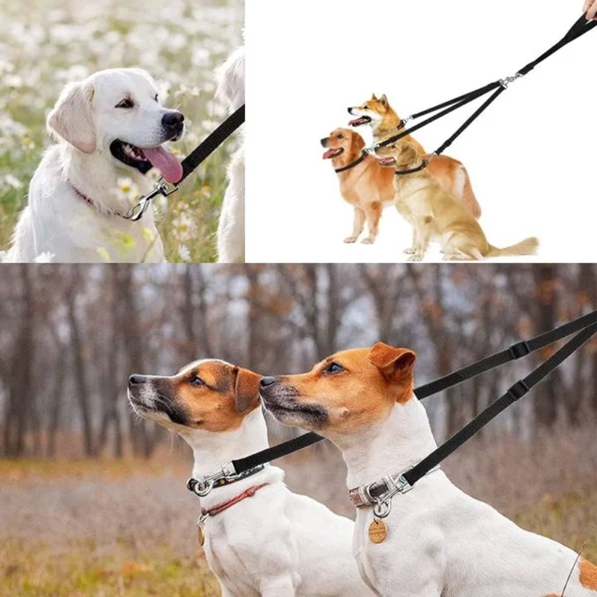 3-in-1 Dog Leash Adjustable, detachable, for medium-sized dogs