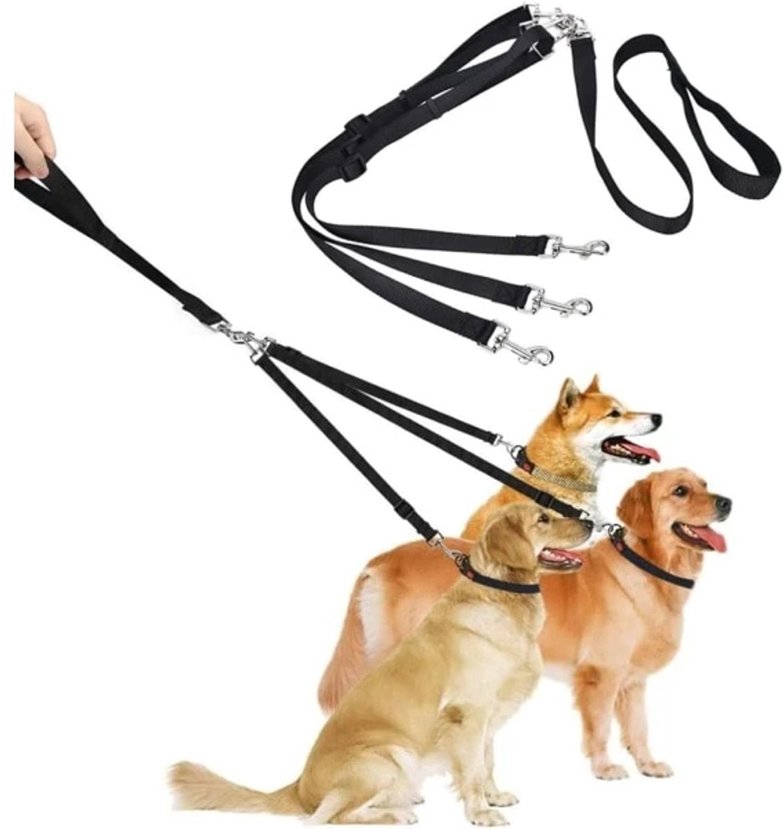 3-in-1 Dog Leash Adjustable, detachable, for medium-sized dogs