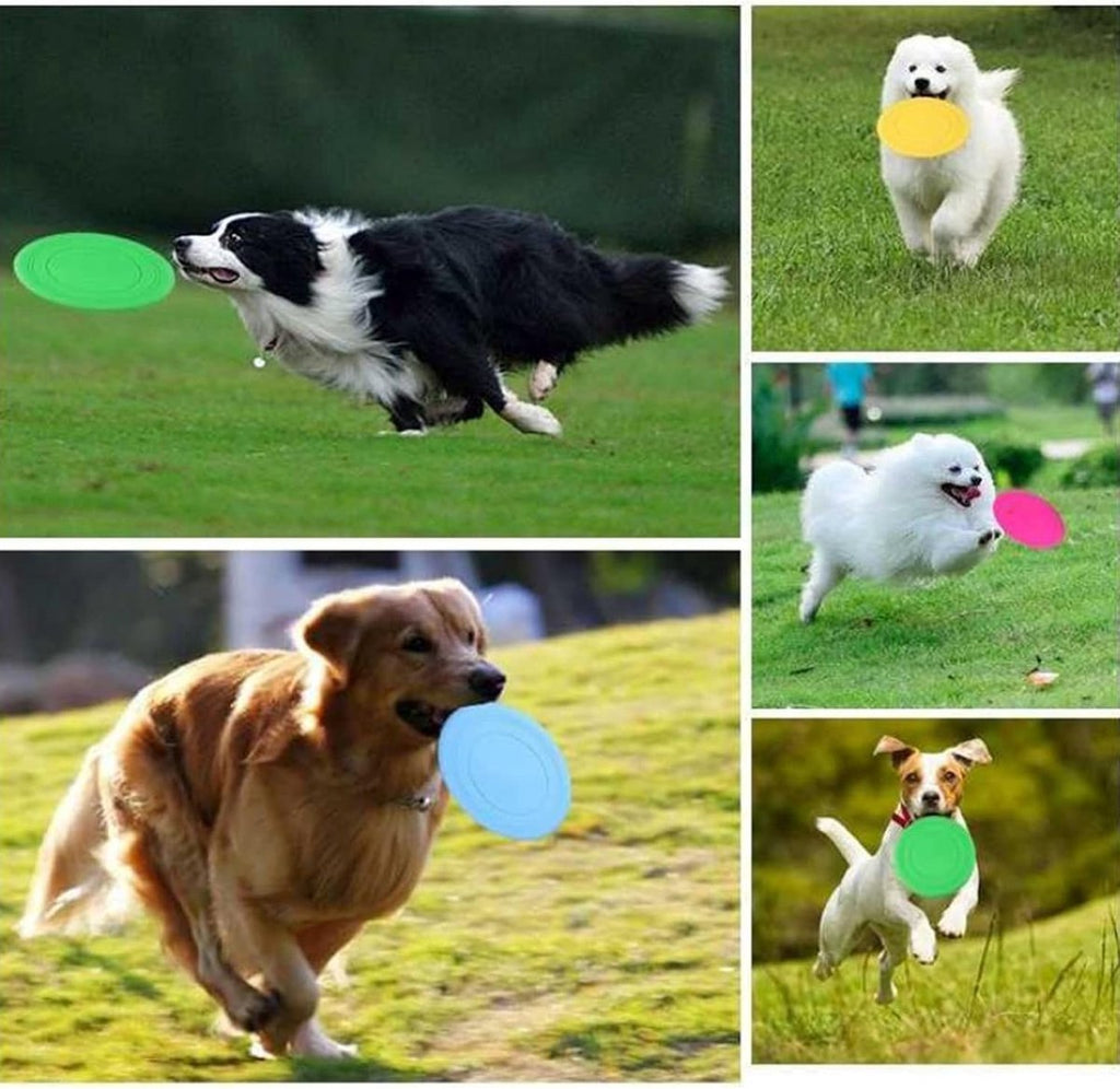 Colorful Dog Frisbee Set - 7 Soft Rubber Frisbees for Fun Playtime & Training
