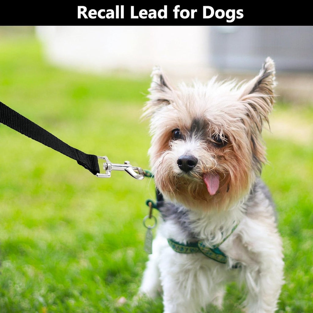 5m*2cm - Dog Leash - Dog Training Leash - Pet Leash - Waterproof - With wrist strap and 360° carabiner - long leash - leash - robust - Pet Supplies - for medium and large dogs - for obedience training - black