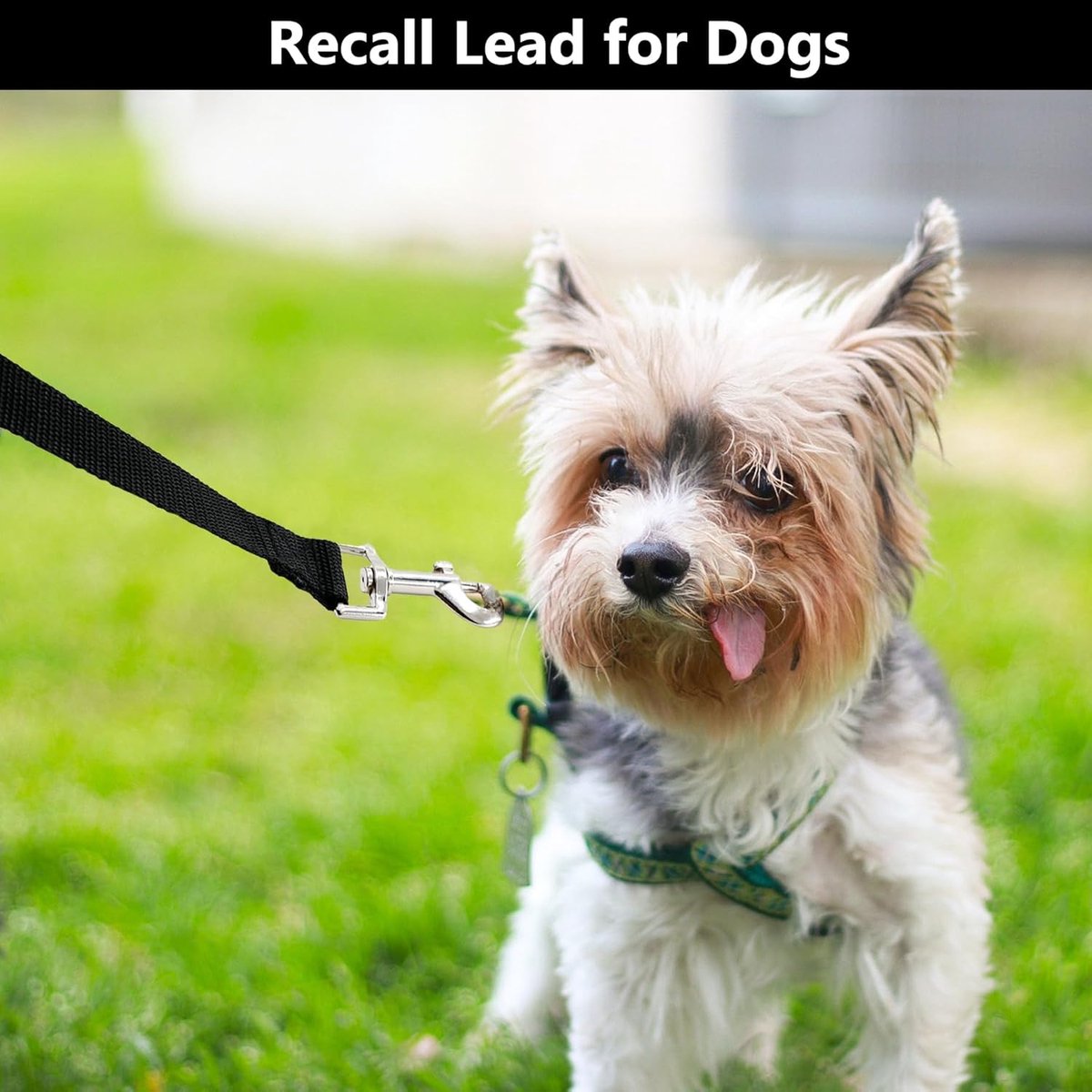 5m*2cm - Dog Leash - Dog Training Leash - Pet Leash - Waterproof - With wrist strap and 360° carabiner - long leash - leash - robust - Pet Supplies - for medium and large dogs - for obedience training - black