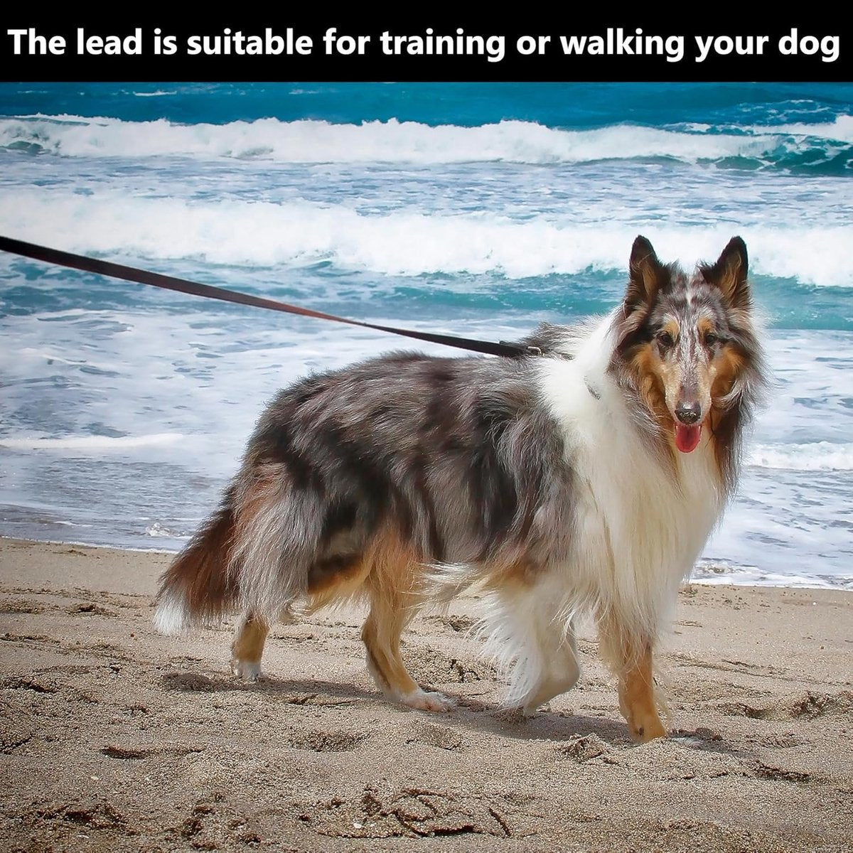 5m*2cm - Dog Leash - Dog Training Leash - Pet Leash - Waterproof - With wrist strap and 360° carabiner - long leash - leash - robust - Pet Supplies - for medium and large dogs - for obedience training - black