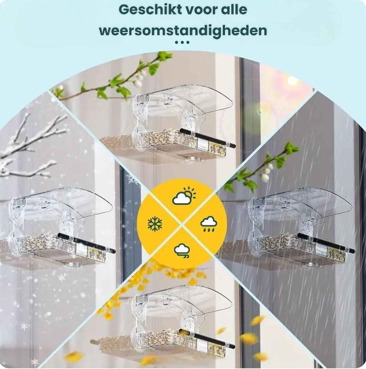 Window Birdhouse for Bird Watching - Bring Nature Closer to Home