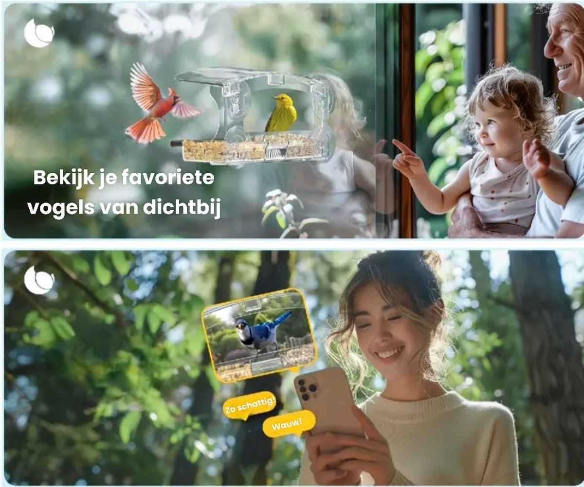 Window Birdhouse for Bird Watching - Bring Nature Closer to Home