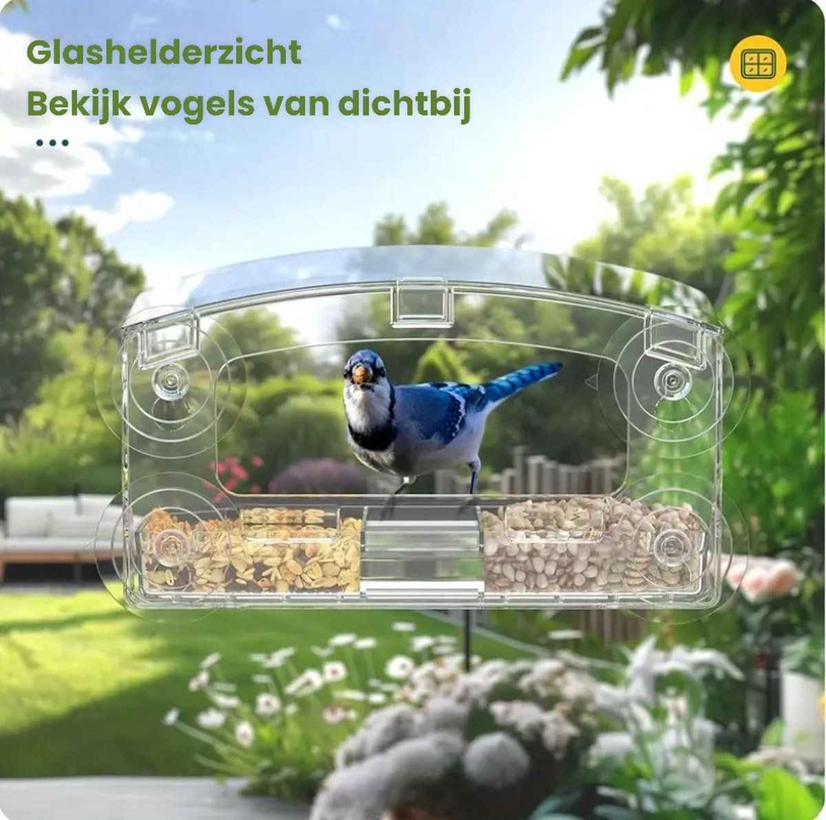 Window Birdhouse for Bird Watching - Bring Nature Closer to Home