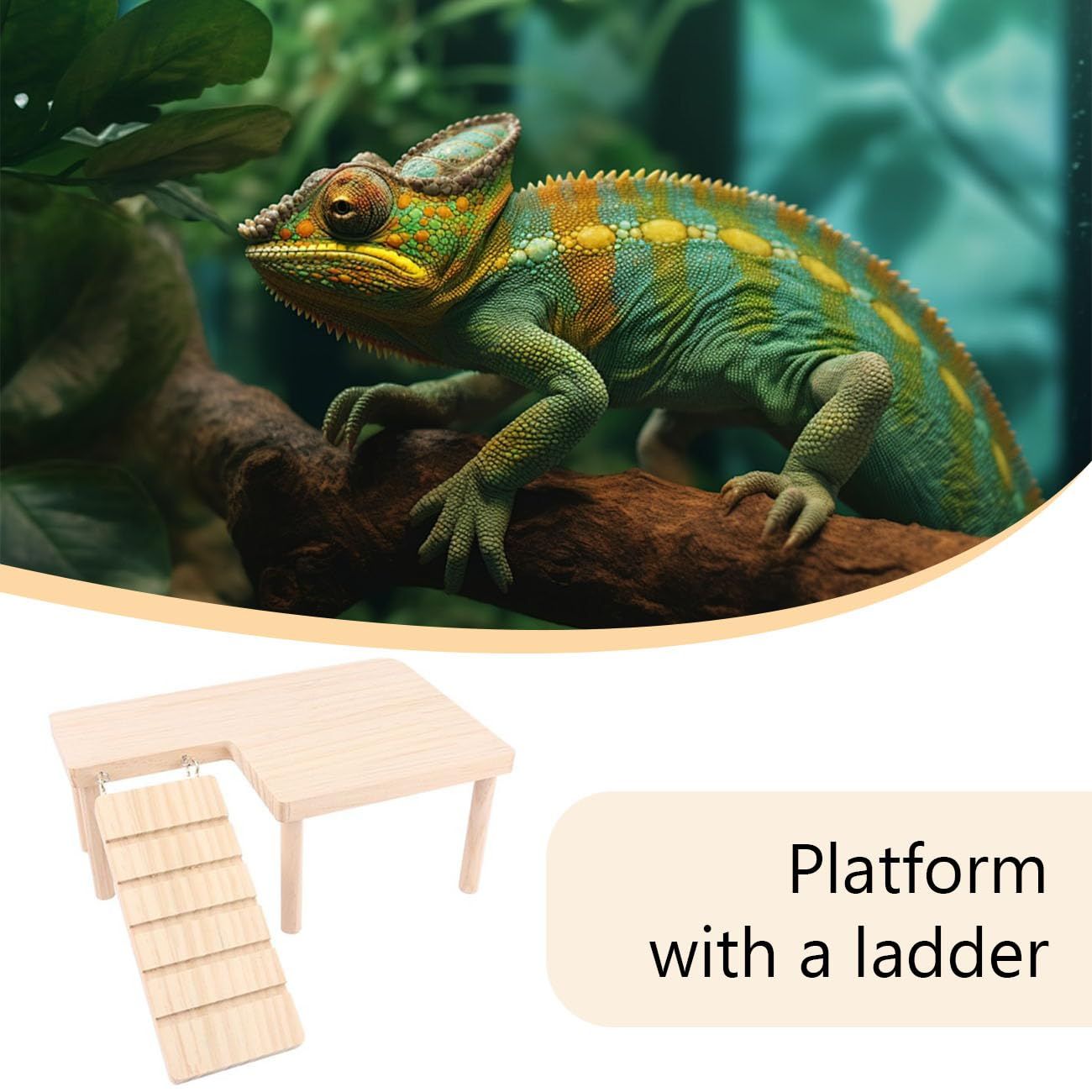 Large natural wooden reptile hideout with climbing ramp inside a terrarium for a bearded dragon, providing a secure cave and elevated basking platform.