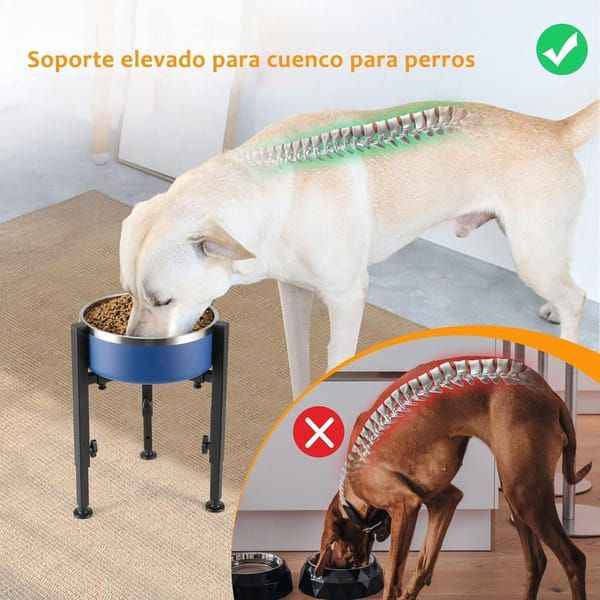 Elevated Dog Bowl Stand - Adjustable Metal Feeder for All Breeds