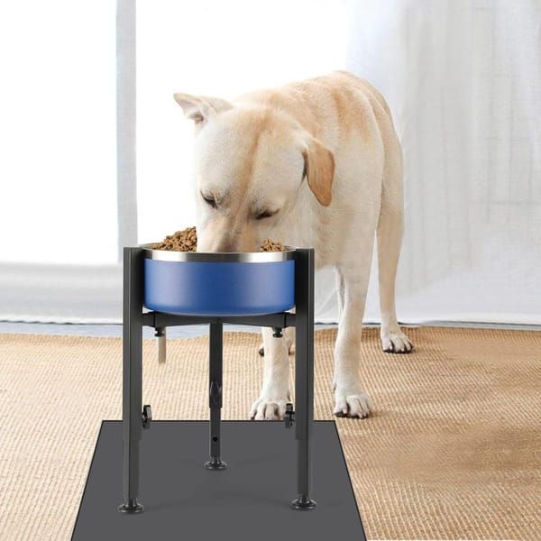 Elevated Dog Bowl Stand - Adjustable Metal Feeder for All Breeds