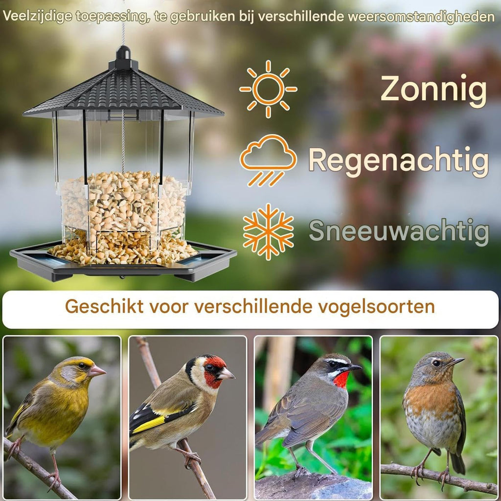 Bird Feeder Houses | Hanging and Refillable Feeding Station Squirrel-Proof Window Bird Feeder Including Landing Perch for Outdoor Garden Birds Wildlife Black
