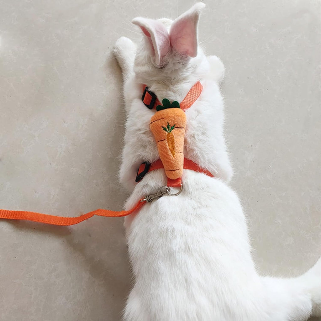 2pcs Rabbit Harness and Leash Set Cute Carrot and Strawberry Trim, Adjustable,for Rabbits, Cats Small Pets