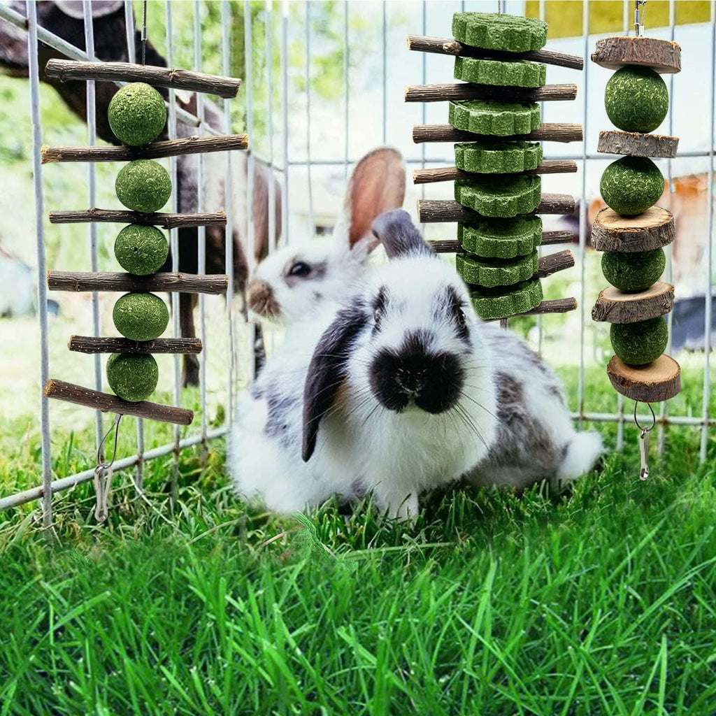 Enhance Your Rabbit's Happiness with BallHull 3 Pcs Bunny Teeth Grinding Chew Toys