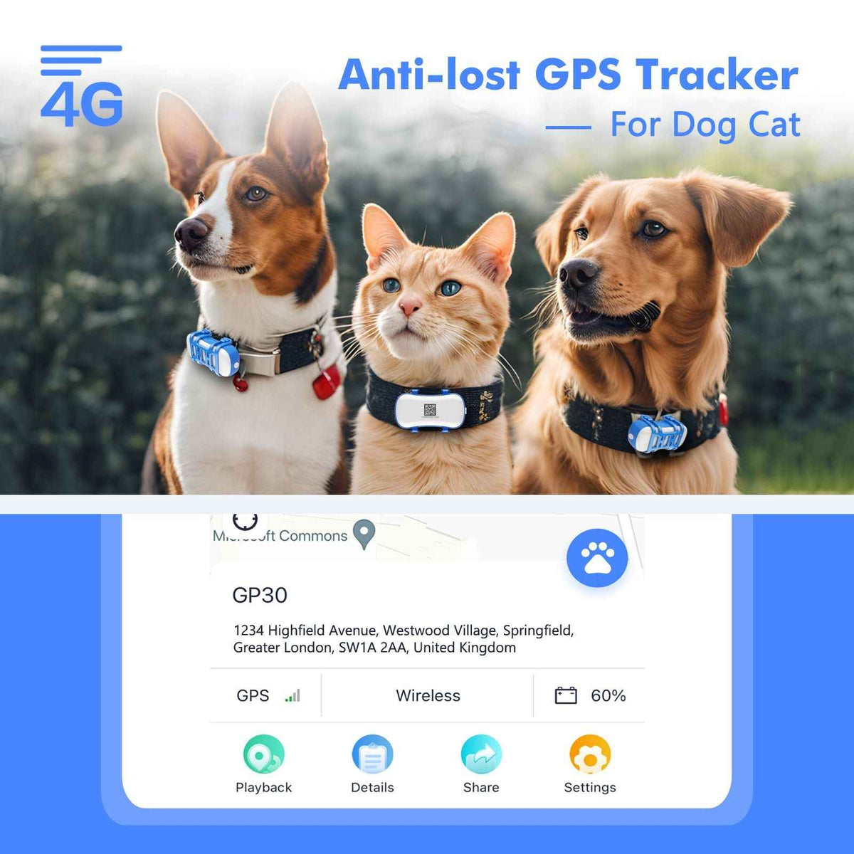 4G Pets GPS Tracker – The Ultimate Safety Net for Your Furry Friends