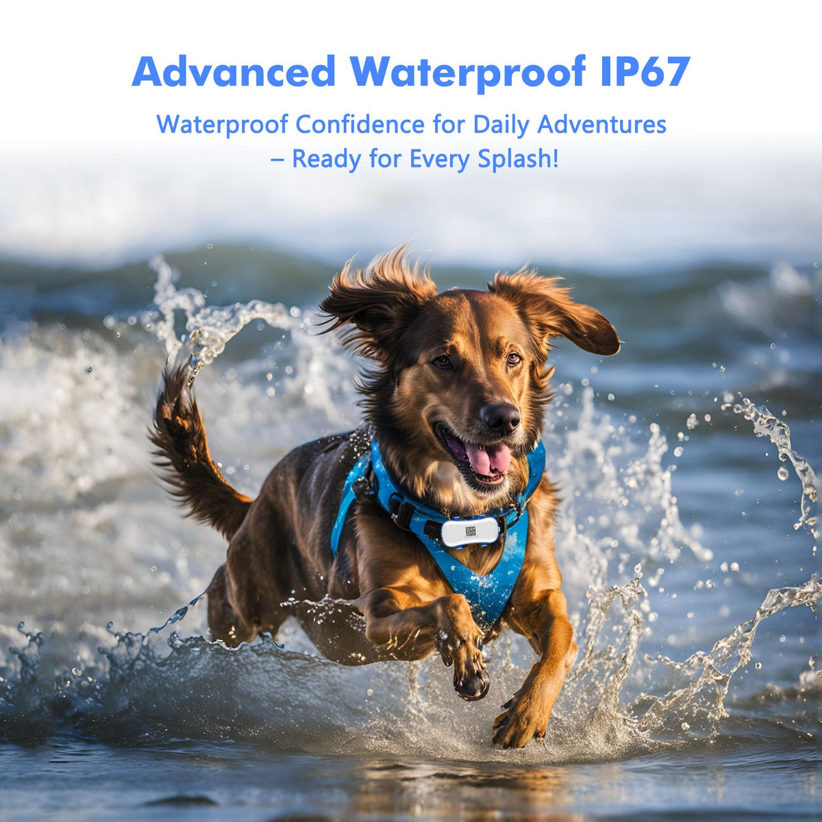 4G Pets GPS Tracker – The Ultimate Safety Net for Your Furry Friends