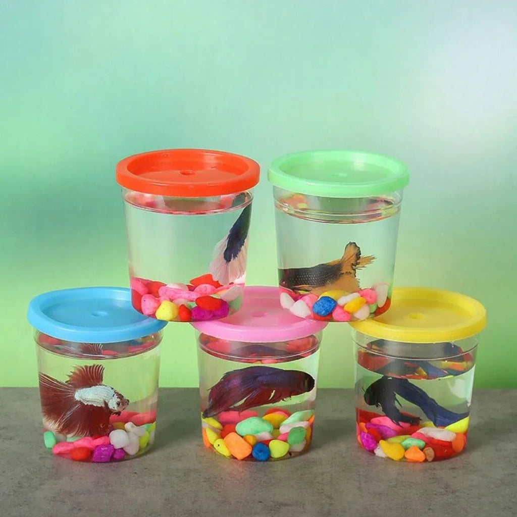 Mini Betta Fish Cups with Lid - 20pcs Portable Containers for Betta Fish & Small Pets