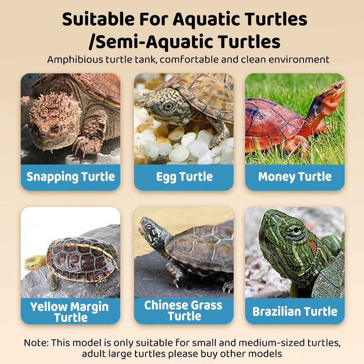 Luxury Turtle Habitat: Stylish Tortoise Tank with Basking Table for Happy Reptiles